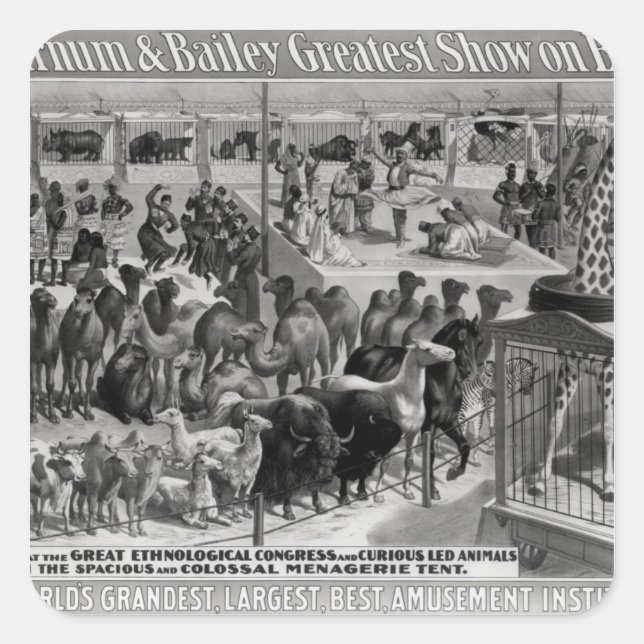 Pegatina Cuadrada Publicidad poster, 'The Barnum y Bailey (Anverso)