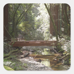 Pegatina Cuadrada Puente Muir Woods II