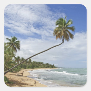 Pegatina Cuadrada Puerto Rico. Playa Tres Palmitas Puerto Rico