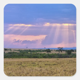 Pegatina Cuadrada Puesta de sol en el Masai Mara.