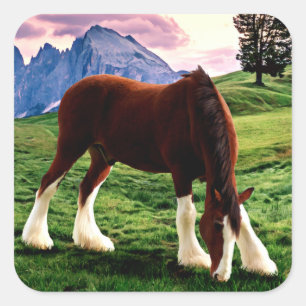 Pegatina Cuadrada Puesta del sol de Clydesdale