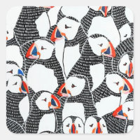 Puffin