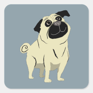 Pegatina Cuadrada Pug