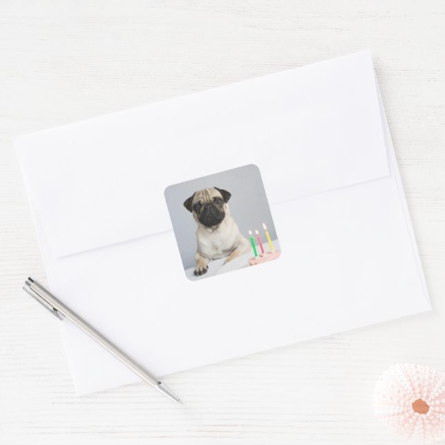 Pegatina Cuadrada Pug de cumpleaños (Sobre)