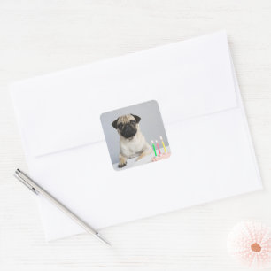 Pegatina Cuadrada Pug de cumpleaños