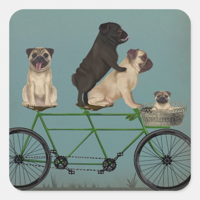 Pegatina Cuadrada Pug Tandem (Anverso)