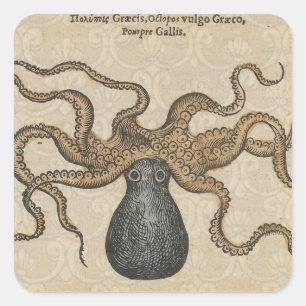 Pegatina Cuadrada Pulpo Kraken Antiguo Marino Vida Silvestre Costera