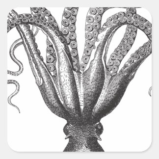 Pegatina Cuadrada ☞ pulpo, The pulpo Vintage/
