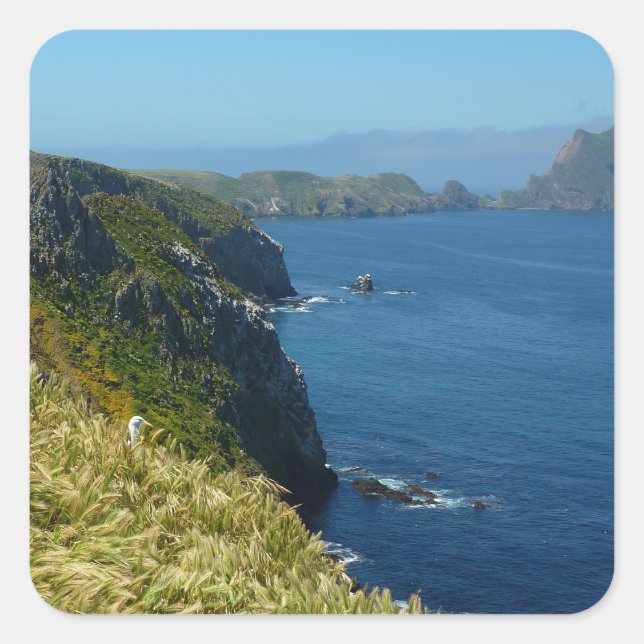Pegatina Cuadrada Punto de inspiración II de Anacapa en las Islas de (Anverso)
