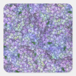 Pegatina Cuadrada Purple hydrangea flowers