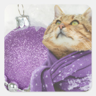 Pegatina Cuadrada Purple Scarf Winter Cat Stickers