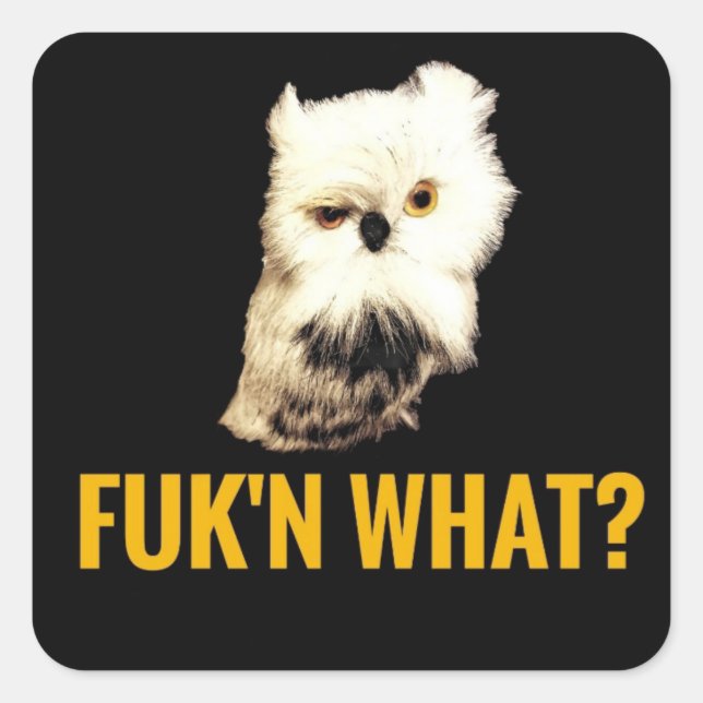 Pegatina Cuadrada ¿Qué? (Anverso)