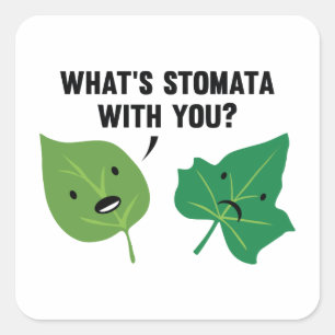 Pegatina Cuadrada ¿Qué es Stomata contigo?