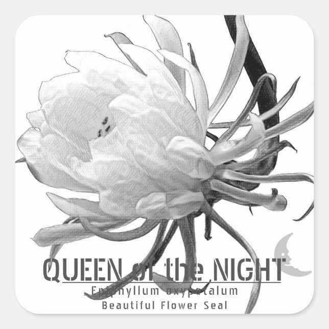 Pegatina Cuadrada Queen of the Night スクエアシール (Anverso)