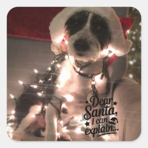 Pegatina Cuadrada Querido Santa, puedo explicarlo (perro)