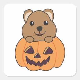 Pegatina Cuadrada Quokka en calabaza Cute Quokkas Feliz Halloween