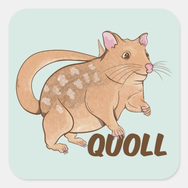 Pegatina Cuadrada Quoll (Anverso)