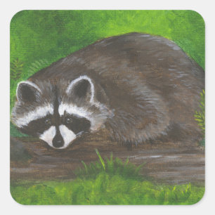 Pegatina Cuadrada Raccoon