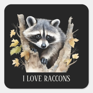 Pegatina Cuadrada Raccoons amor lindo amantes de los animales añaden
