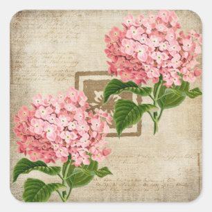 Pegatina Cuadrada Racimos de Hortensias Rosadas II