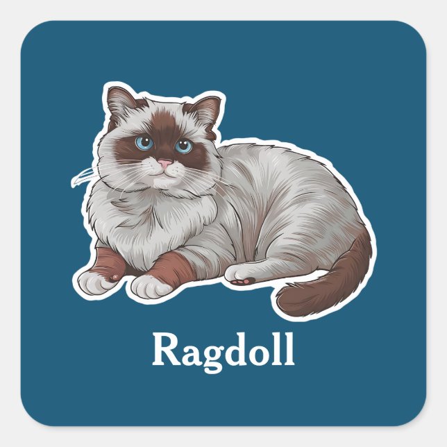 Pegatina Cuadrada Ragdoll (Anverso)