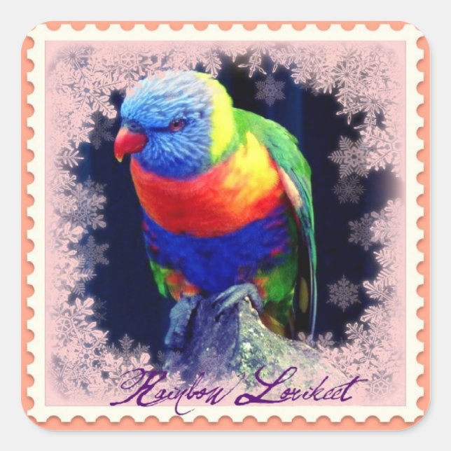 PEGATINA CUADRADA RAINBOW LORIKEET (Anverso)