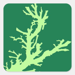 Pegatina Cuadrada Rama de coral: cal y verde esmeralda