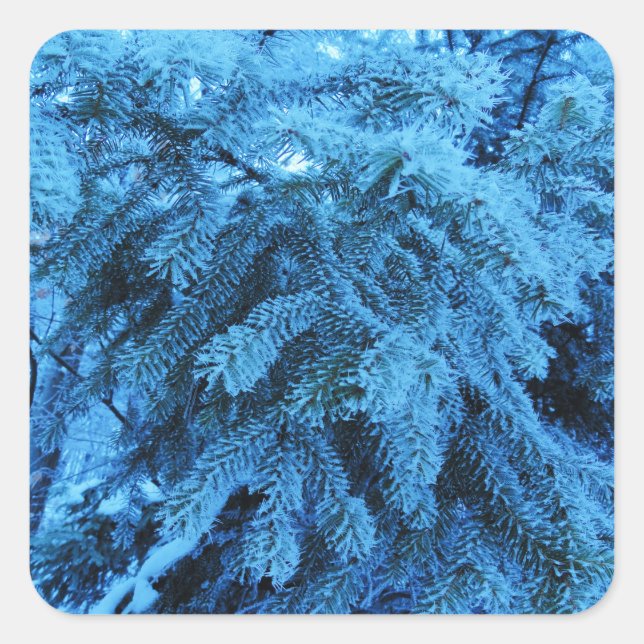 Pegatina Cuadrada Ramas prudentes cubiertas de nieve y cristales de  (Anverso)