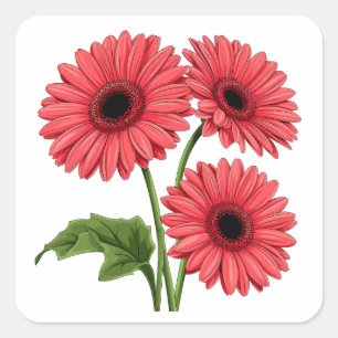 Pegatina Cuadrada Ramo de Gerbera Daisy Rojo Brillante