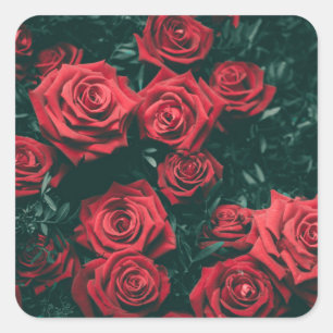 Pegatina Cuadrada Ramo de rosas rojas