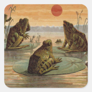 Pegatina Cuadrada Ranas Lily Pads Moon Ilustracion