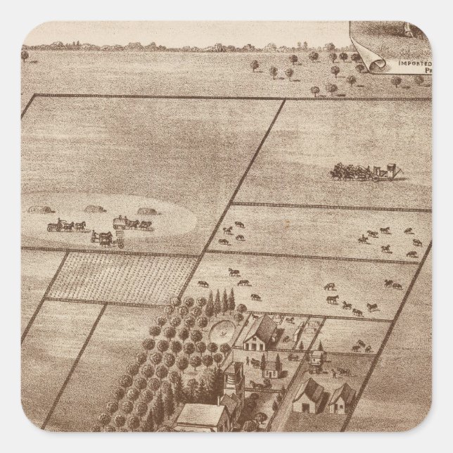 Pegatina Cuadrada rancho de Bertch (Anverso)