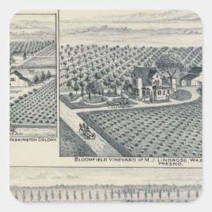 Pegatina Cuadrada Rancho de Bonacourt, colonia de Washington,