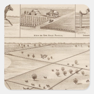 Pegatina Cuadrada Rancho de Oakdale