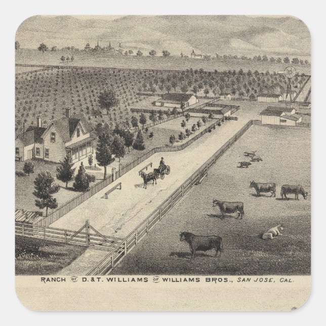 Pegatina Cuadrada Rancho Williams, cantera de Goodrich (Anverso)