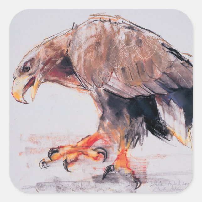 Pegatina Cuadrada Raptor 2001 (Anverso)