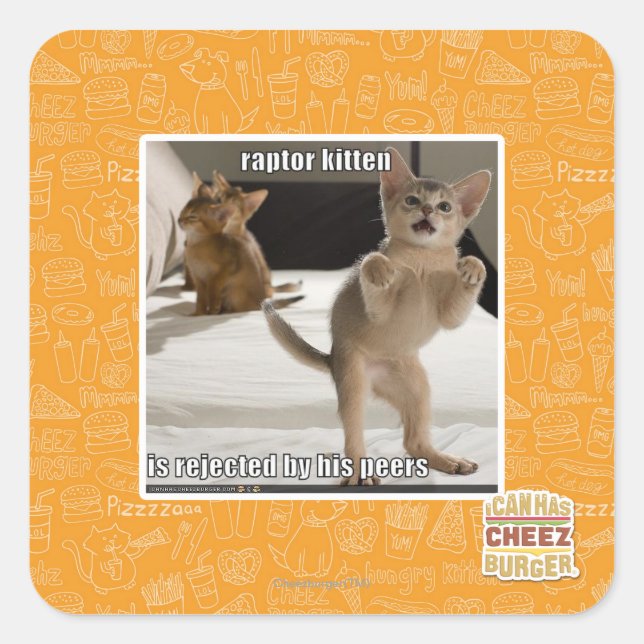 Pegatina Cuadrada Raptor Kitten (Anverso)