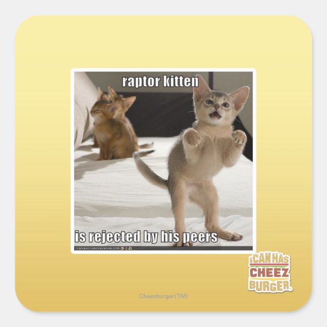 Pegatina Cuadrada Raptor Kitten (Anverso)