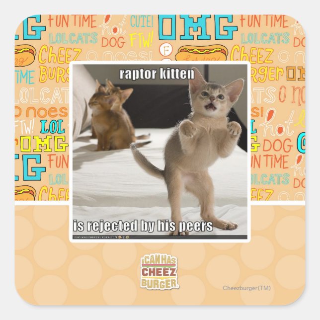 Pegatina Cuadrada Raptor Kitten (Anverso)