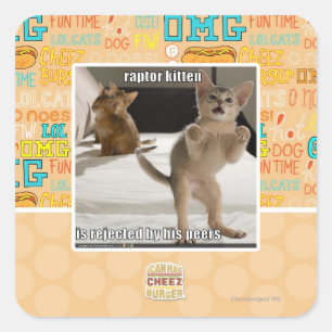 Pegatina Cuadrada Raptor Kitten
