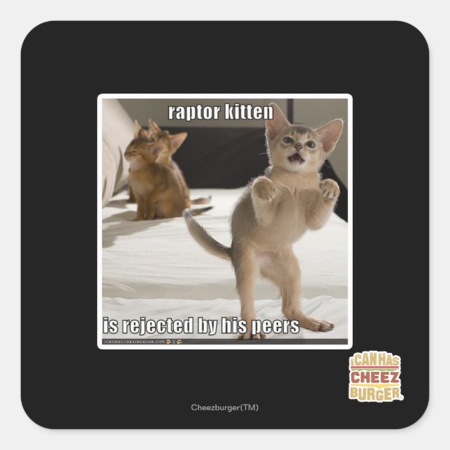 Pegatina Cuadrada Raptor Kitten (Anverso)