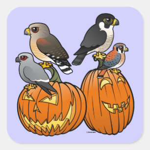 Pegatina Cuadrada Raptores Birdorables en calabazas