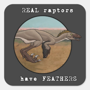 Pegatina Cuadrada Raptores reales