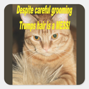 Pegatina Cuadrada Raro viejo Trump