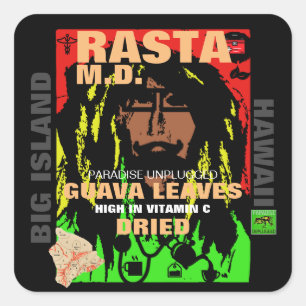 PEGATINA CUADRADA RASTA M.D. HOJAS DE GUAVA SECAS