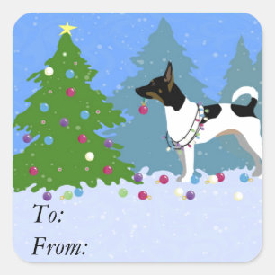 Pegatina Cuadrada Rat Terrier decorando un árbol de Navidad en un bo