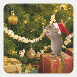 Pegatina Cuadrada Ratón de Navidad Comiendo Rositas de Maíz en la gu