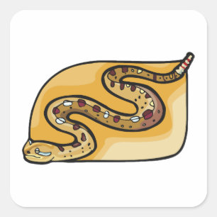 Pegatina Cuadrada Rattlesnake Reptile