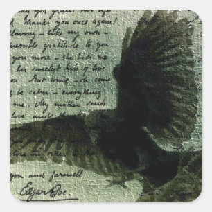 Pegatina Cuadrada Raven 3