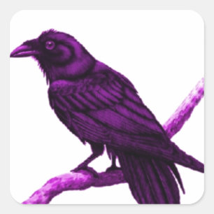 Pegatina Cuadrada Raven en regalos morados de Sharles